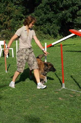 agility 2011-08